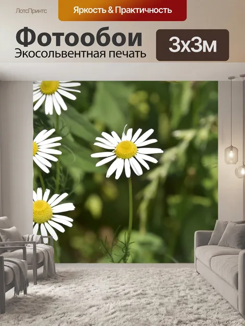 Фотообои Цветы