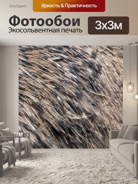 Фотообои История страусиных перьев