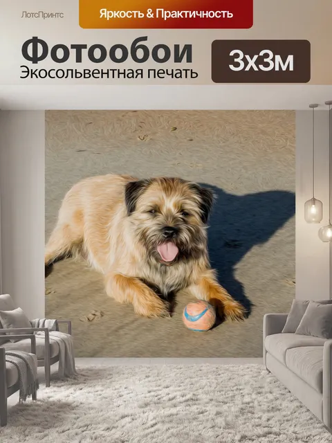 Фотообои Бордер терьер в цифровых Масла