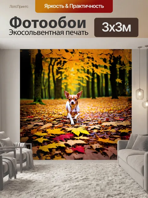 Фотообои чихуахуа, исследующая осенний лес, где желтые и красные листья создают яркий ковёр на земле