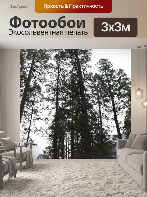 Фотообои Высокие деревья Йосемиты