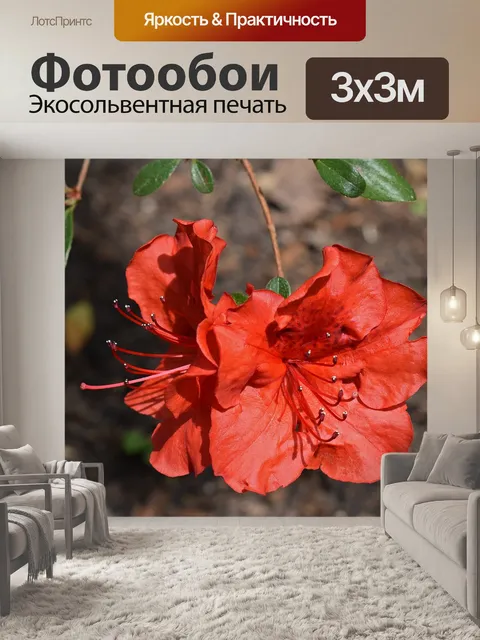 Фотообои Красная азалия