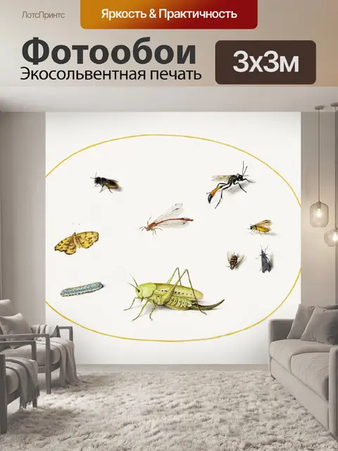 Фотообои Насекомые винтаж искусство старые