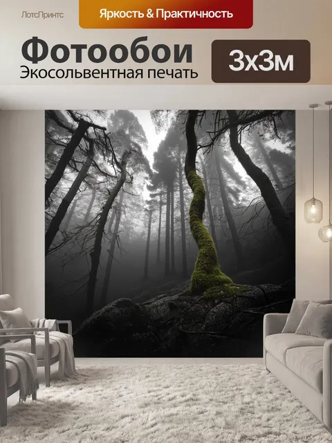 Фотообои черно-белая фотография леса в тумане, деревья с искривленными стволами и ветками, покрытые мхом
