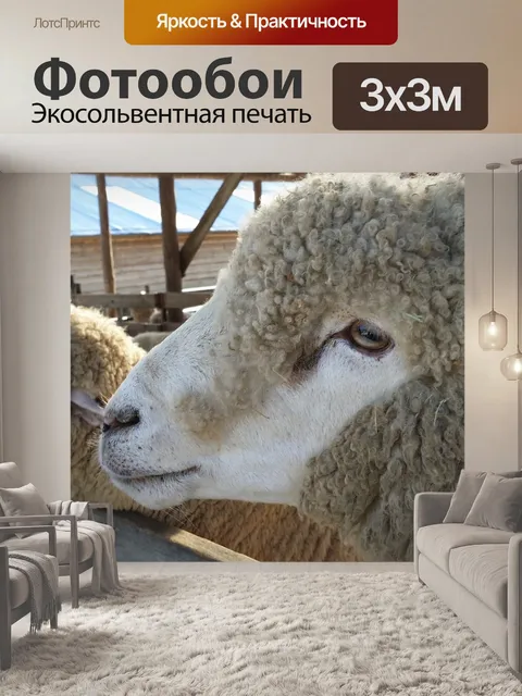 Фотообои Ян