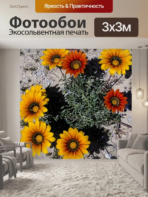 Фотообои Желтый и оранжевый Полевые цветы