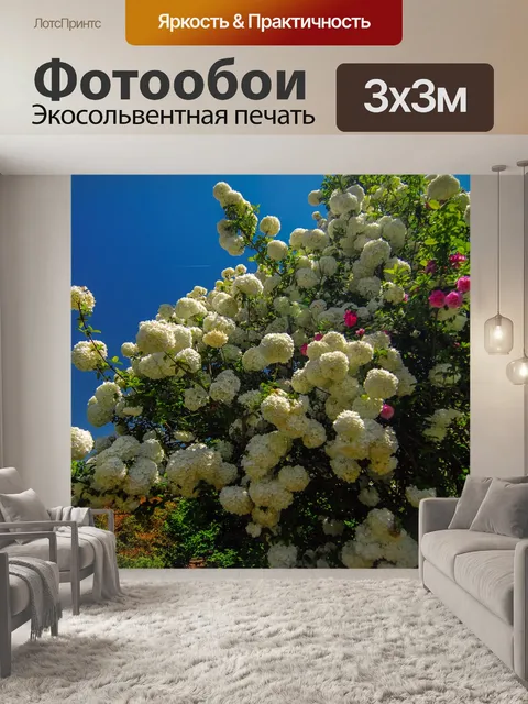 Фотообои Калина обыкновенная компакте с Бушем