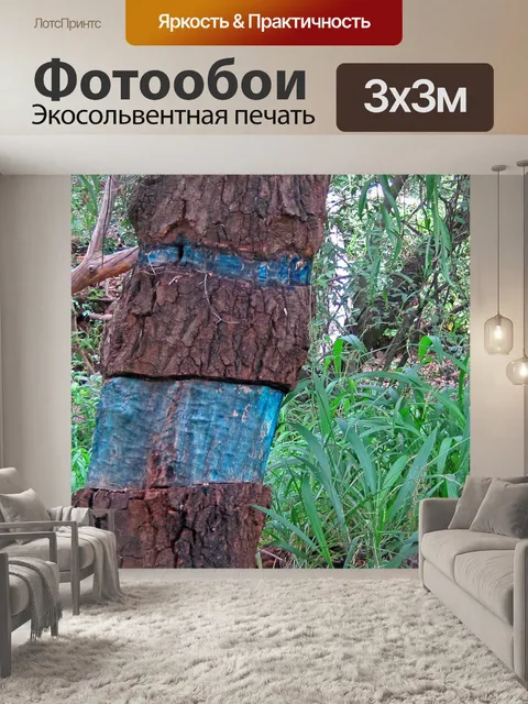 Фотообои Отбраковка деревьев