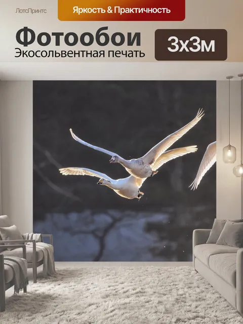 Фотообои Птица