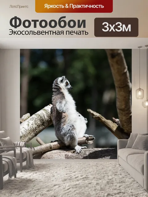 Фотообои Кошачий лемур