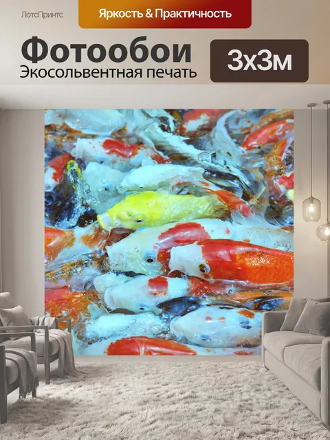 Фотообои Кормление голодных карповых рыб
