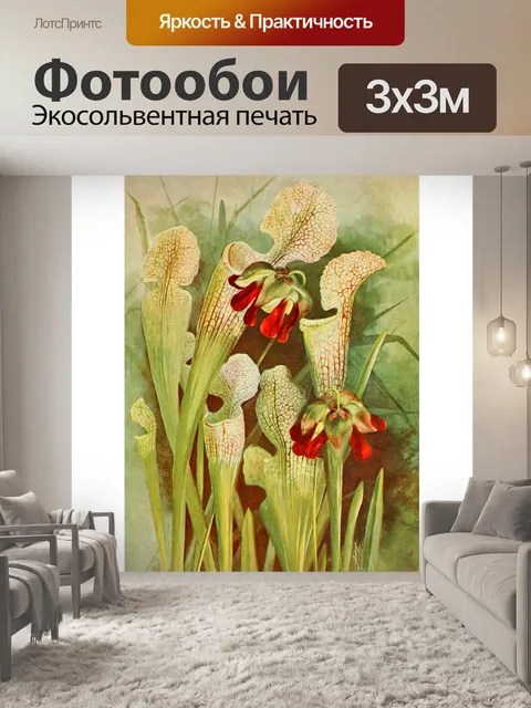 Фотообои Плотоядные растения винтажные