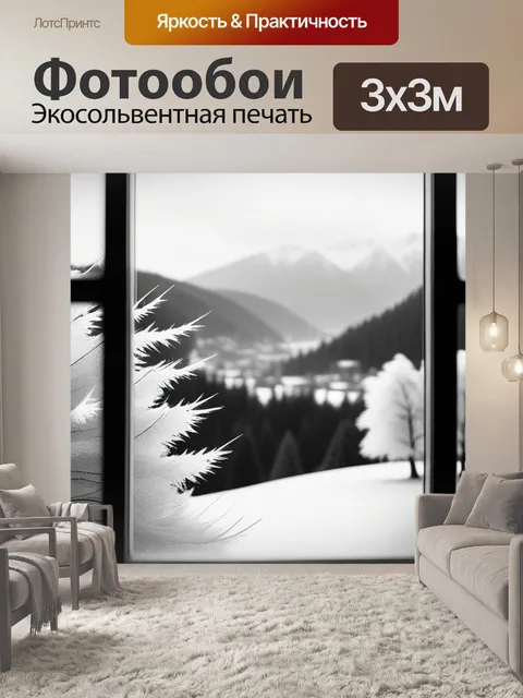 Фотообои пейзаж с окна зимний чернобелый