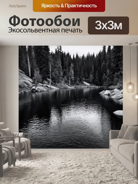 Фотообои озеро в черно-белом стиле, шумный поток, впадающий в озеро