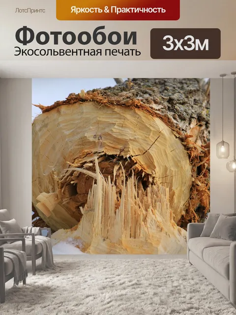 Фотообои Дерево
