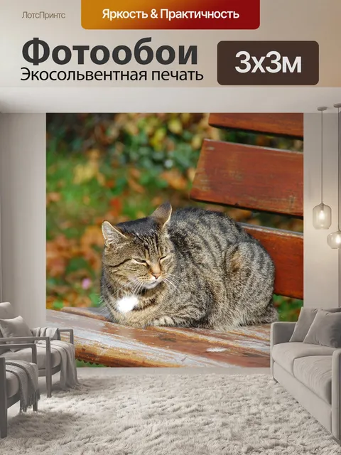 Фотообои Кот