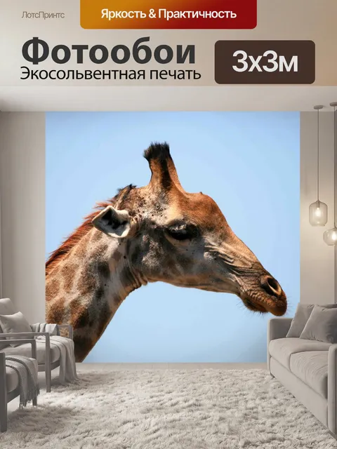 Фотообои жираф голова