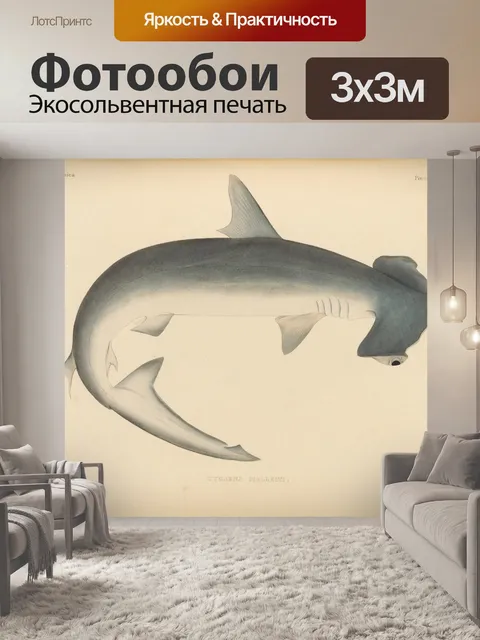Фотообои Винтажная иллюстрация акулы-молота