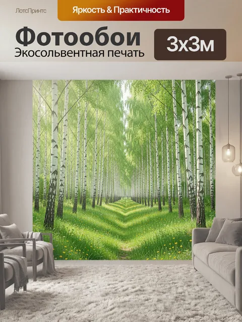 Фотообои Березовая аллея в летнем свете
