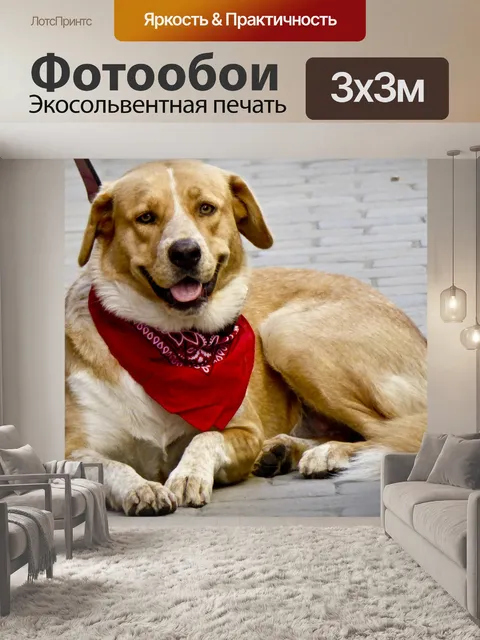 Фотообои Собака в красной бандане