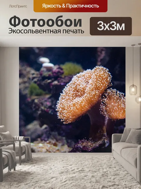 Фотообои Коралл