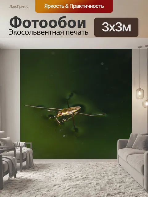 Фотообои Страйдеры воды