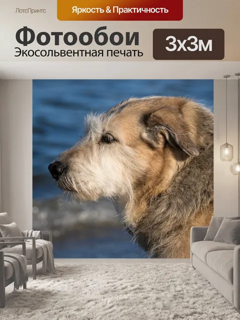 Фотообои Собака