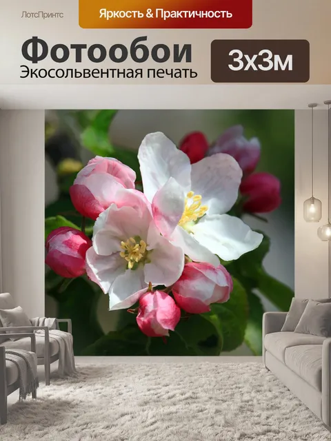 Фотообои Яблоневый цвет