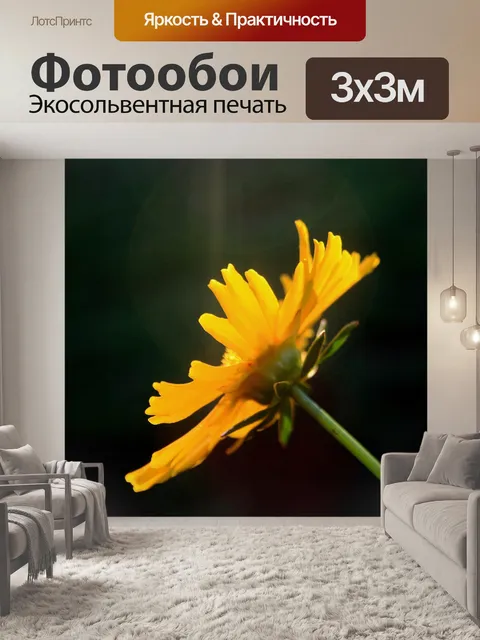 Фотообои желтая ромашка