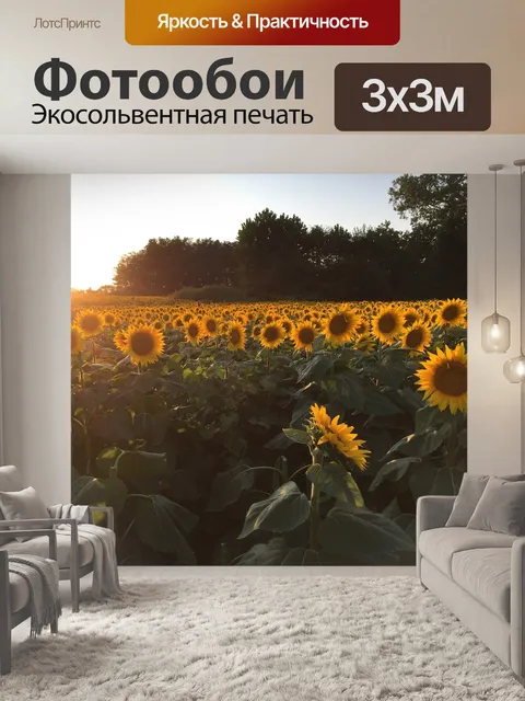 Фотообои Подсолнухи