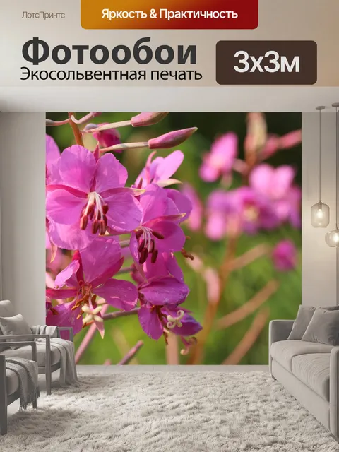 Фотообои Дикий цветок Фиолетовый Фиолетовый
