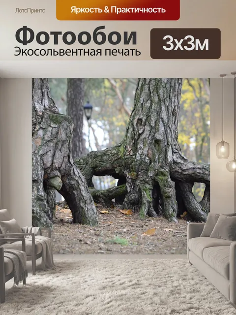 Фотообои Лес