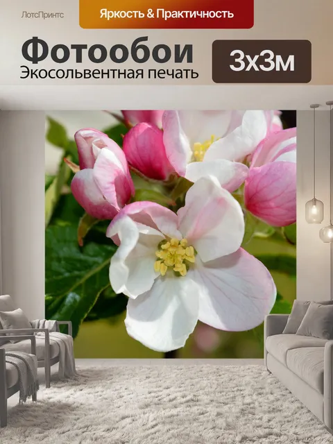 Фотообои Яблоневый цвет