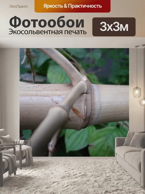 Фотообои Сухой бамбук соломенная 09