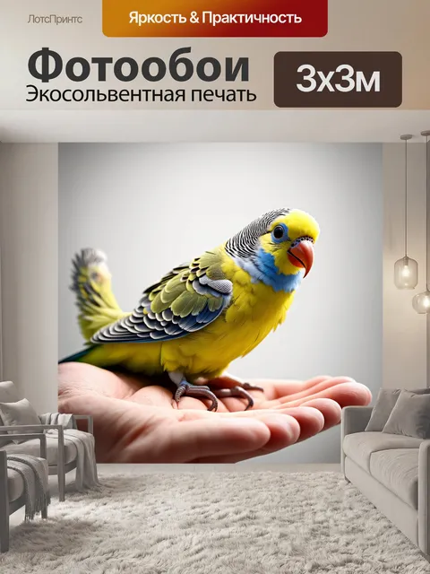 Фотообои создайте реалистичное изображение волнистого попугайчика