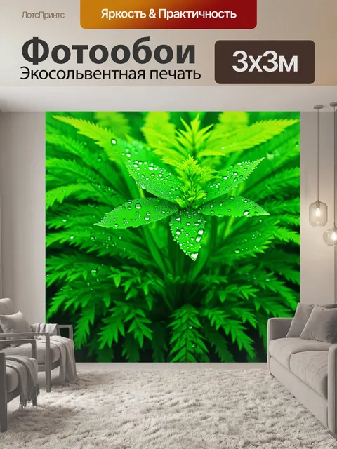 Фотообои зеленые в стиле капельное искусство, композиция из различных зелёных растений и капель воды