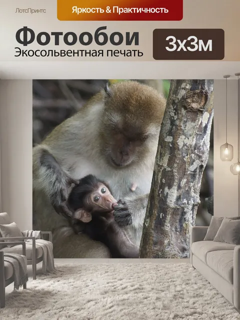 Фотообои Мангровые заросли