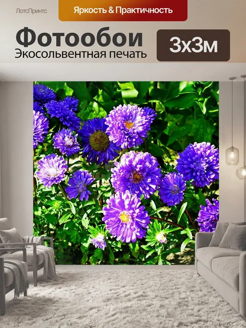 Фотообои Цветы