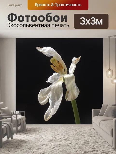 Фотообои Цветок белый