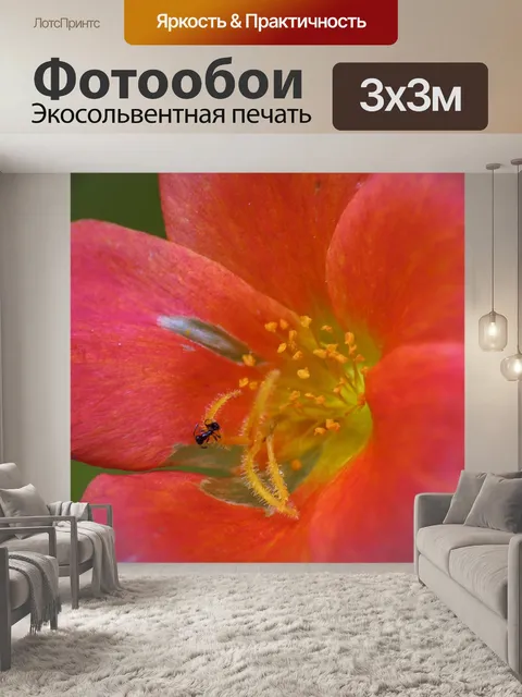 Фотообои Цветок