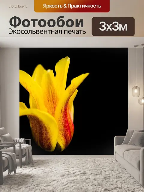 Фотообои Тюльпан