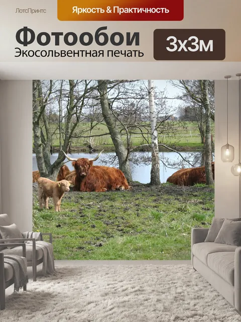 Фотообои Крупный рогатый скот