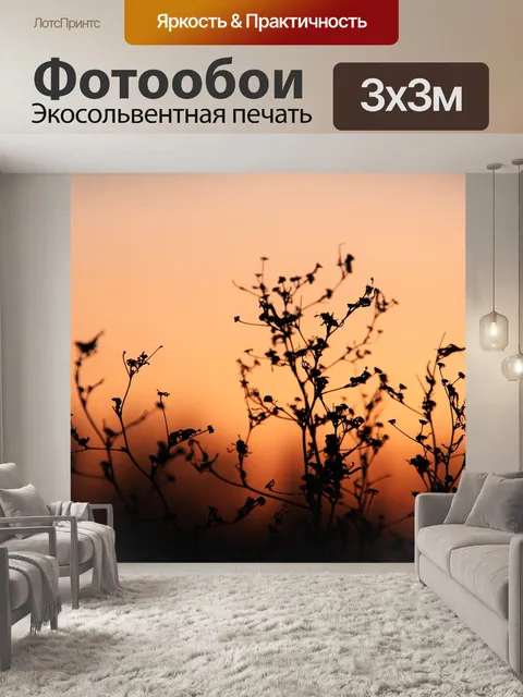 Фотообои Закат