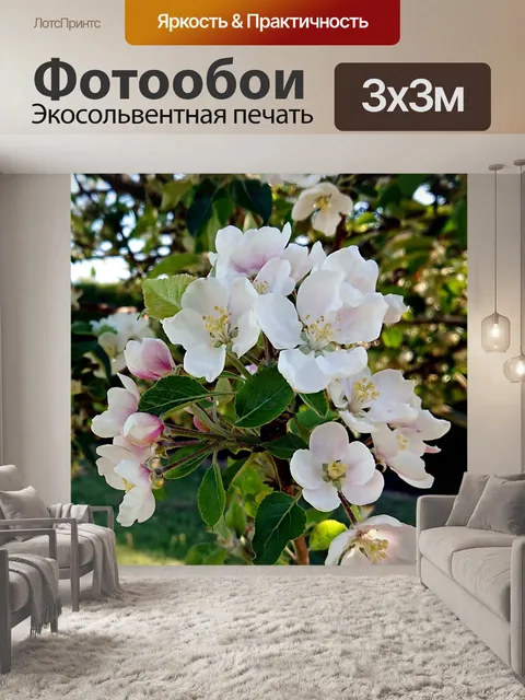 Фотообои Яблоневый цвет