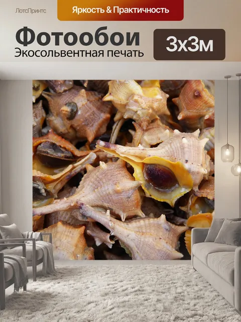 Фотообои Морские улитки