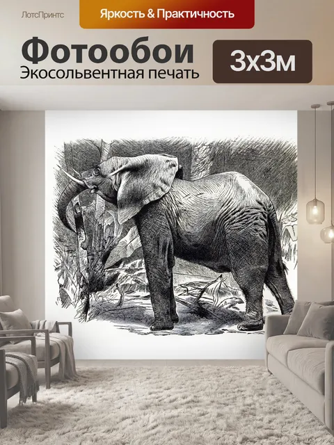 Фотообои Слон литография винтажное искусство