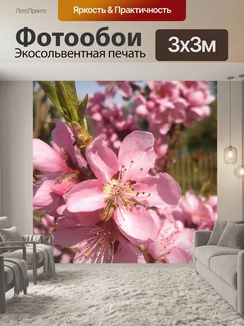 Фотообои Расцветает