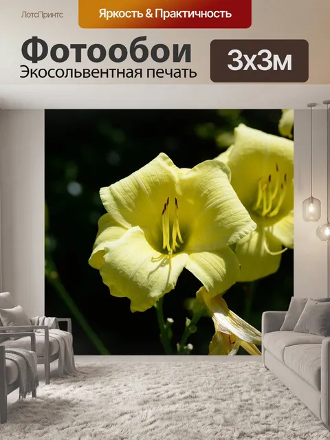 Фотообои Тигр