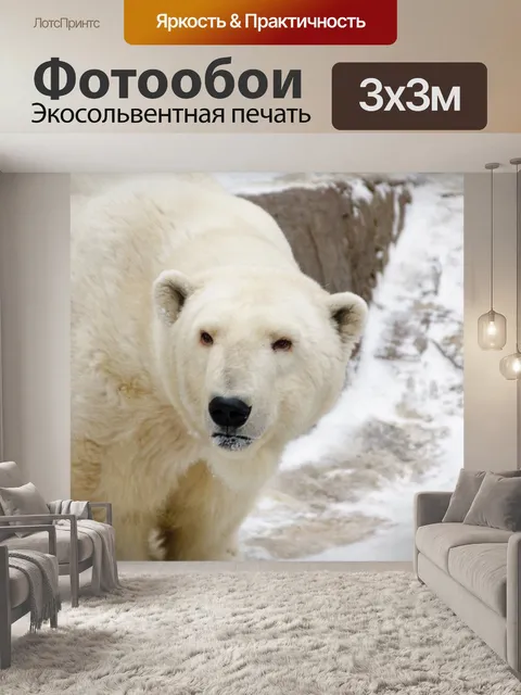 Фотообои Белый медведь