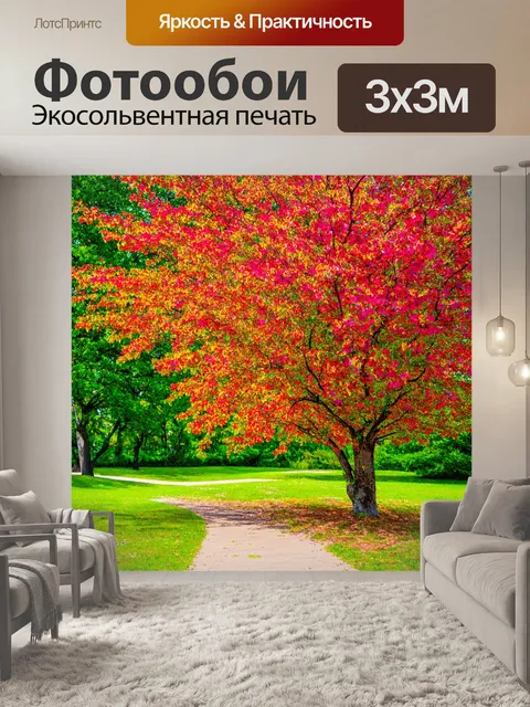 Фотообои дерево, вдоль тропы в парке, с его яркими цветами и разноцветными листьями, передающими жизненную силу и…